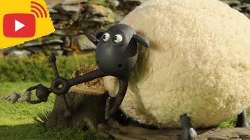 🔴 LIVE - Shaun the Sheep | Farm TV | Shaun The Sheep 🐑 Cartoons for kids, Preschool