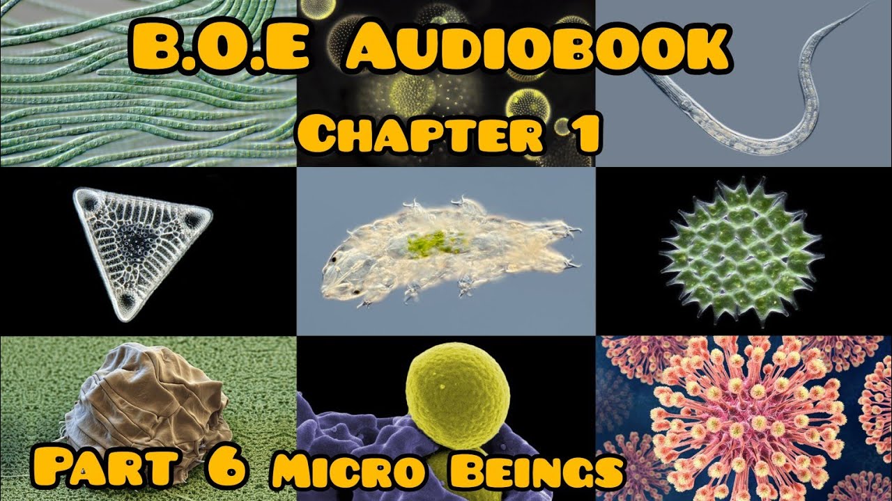 BOE Audio Book part 6 (Chapter 1) The Micro Beings - YouTube