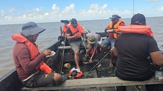 видео: Рыбалка в реке Демерара. Сомы повсюду. картинка: Рыбалка в реке Демерара. Сомы повсюду.