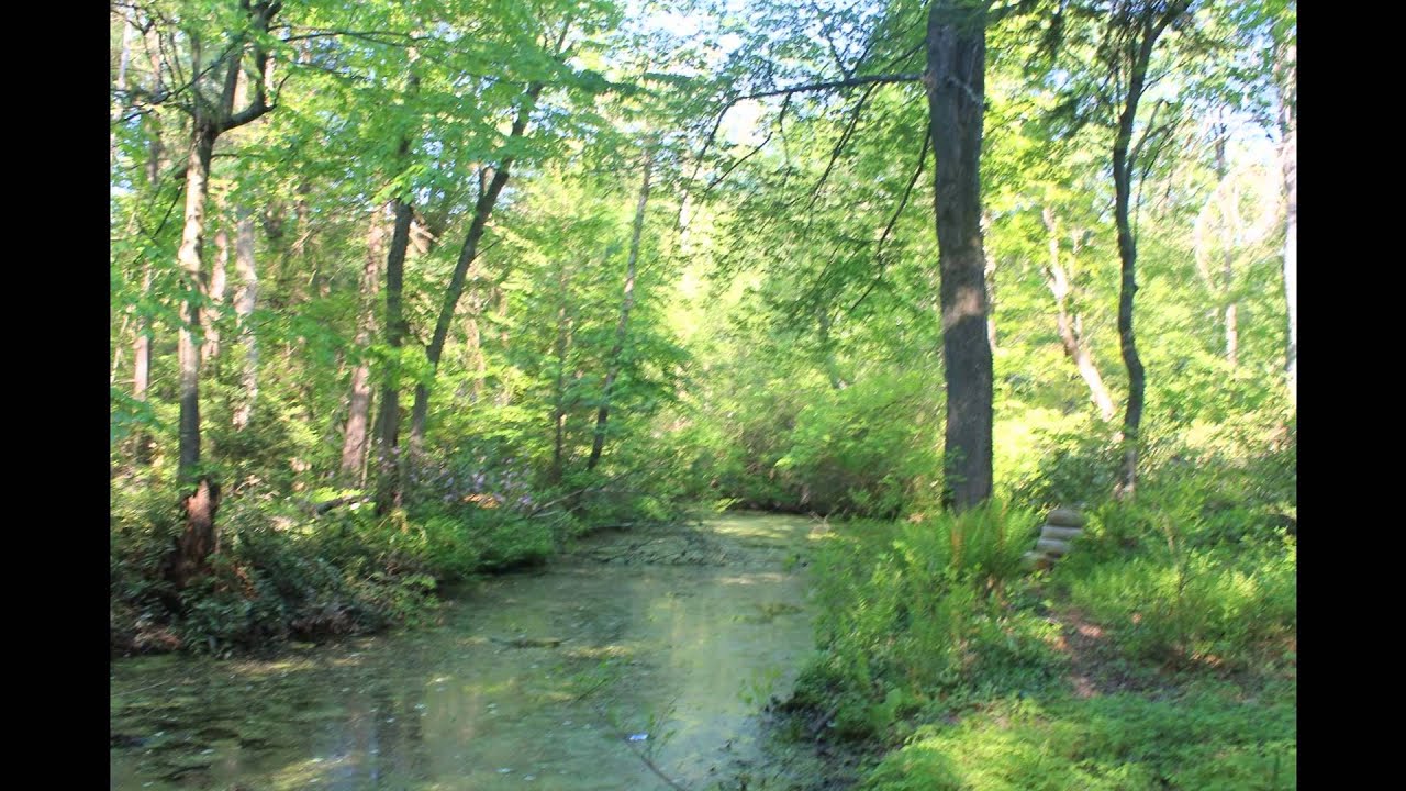 Refuges and Sanctuaries Houghton Garden Newton MA Part 1. YouTube