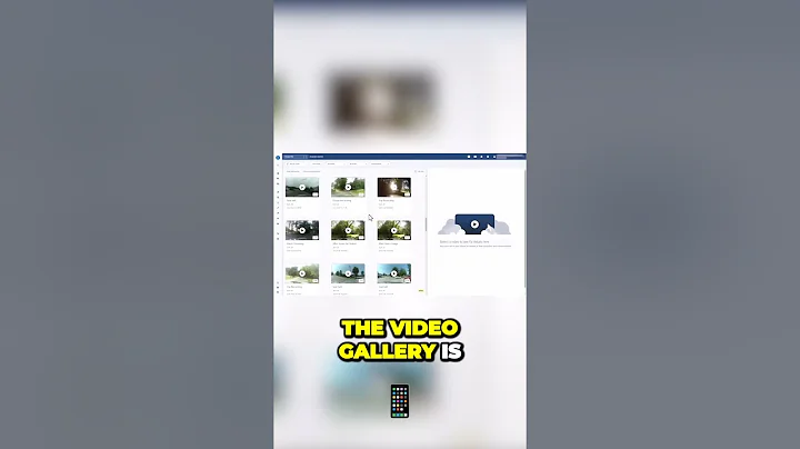 Safety and Maintenance