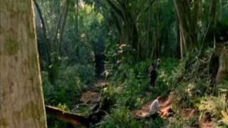 Famous Lost Island theme Profile