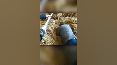 Can you Find a needle from Heystack | HascurioFacts | #shorts #facts #viral #needle #haystack