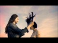 Rogue Wave - Good Morning