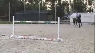 Calina 12-5-2009