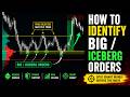 Understanding Big and Iceberg Orders in OrderFlow  ? हिन्दी  में