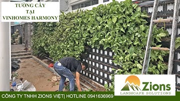 KỸ THUẬT THI CÔNG TƯỜNG CÂY ĐÚNG TẠI VINHOMES HARMONY | ZIONS LANDSCAPE 0941636969