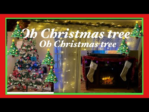 St. John’s, Newfoundland and Labrador /Decorating Christmas tree 2021