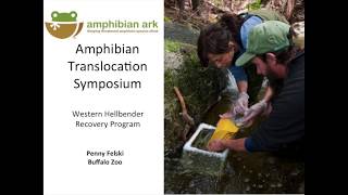 The Hellbender and a recovery plan in Western New York