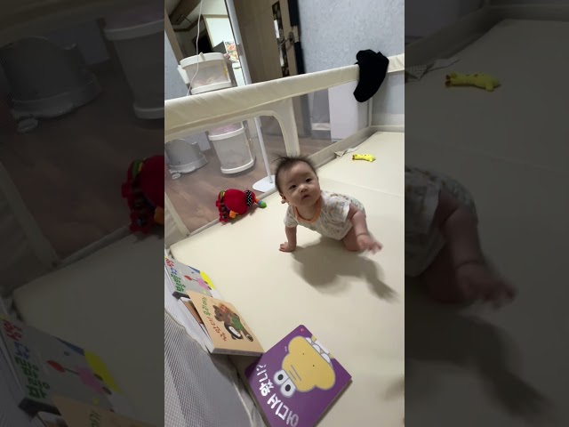 태어나서 처음으로 기어간 날!#첫영상 #첫시작 #기어가기 #소호 #아기쇼츠 #6개월아기