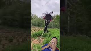 cara mengusir burung pipit, babi, atau hama dari kebun #funny #shorts #short #shortvideo #tips
