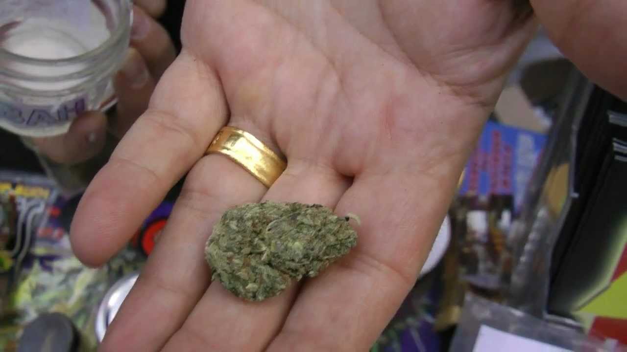 Cannabis Cup 2012 Delta 9 Labs