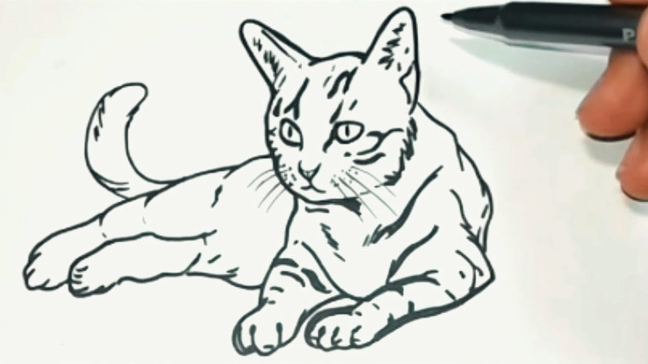 Como desenhar um gato  Tutorial de desenho passo a passo