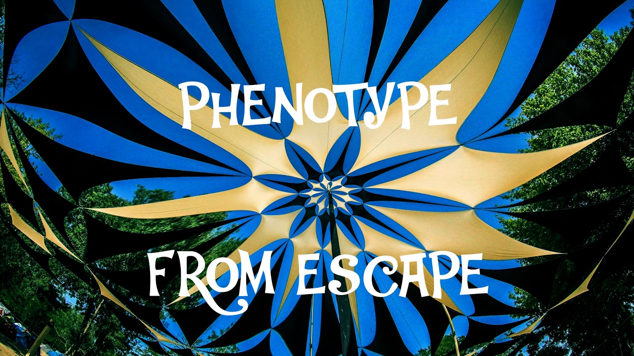 Watch Phenotype - From Escape on YouTube Watch Phenotype - From Escape on YouTube