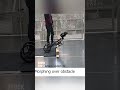 Atmo — дрон, который превращается в машину | Transforming Drone #инновации #технологии #short