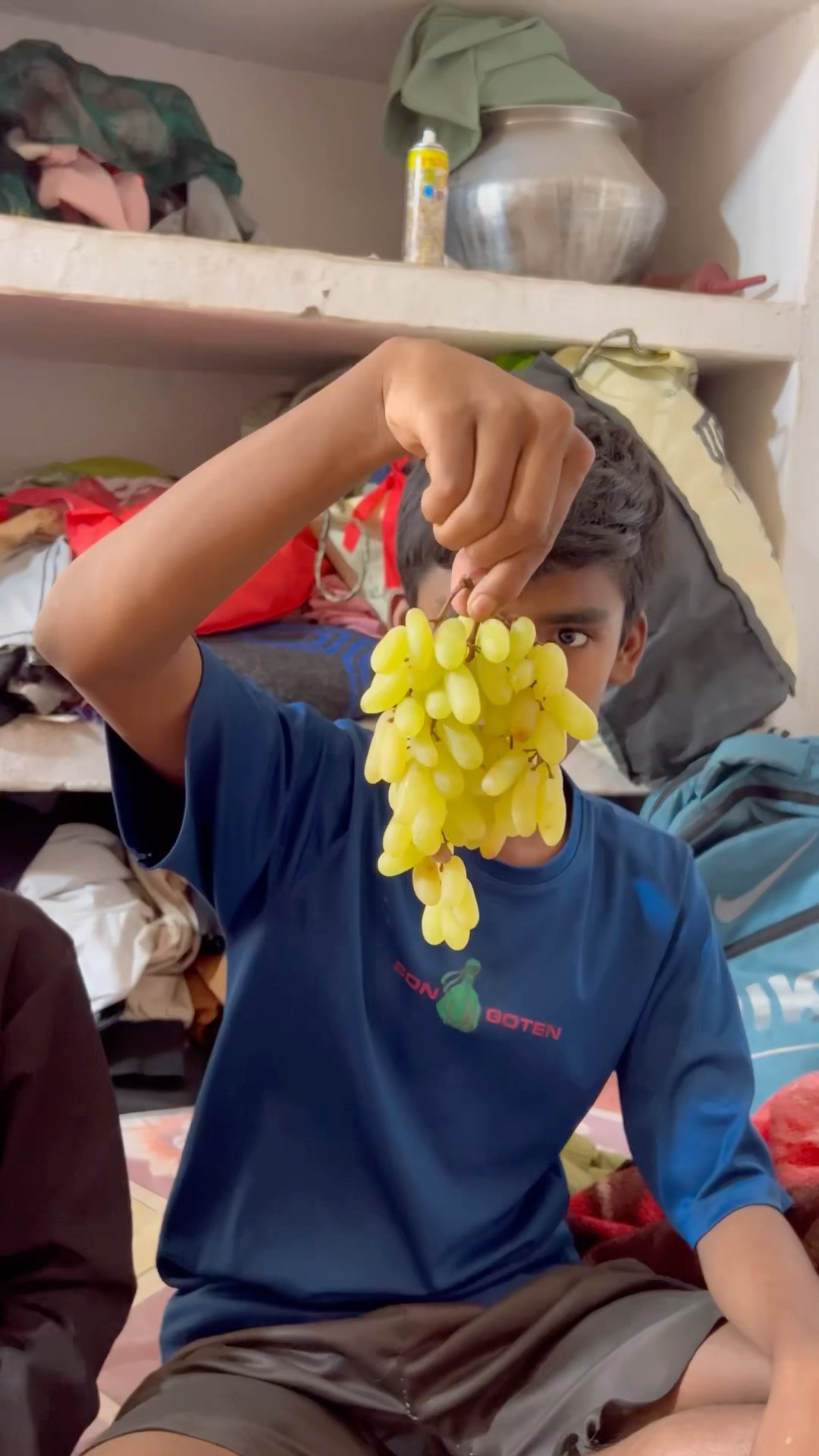 CHOTU KA FRUITS BORD #shorts @FACTFIREKING