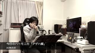 ハーモニカで吹きたい名曲。吹けたらかっこいい人気曲