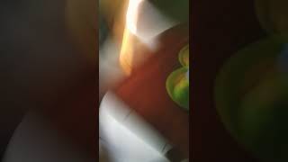 Download Lagu 15 Februari 2026 MP3