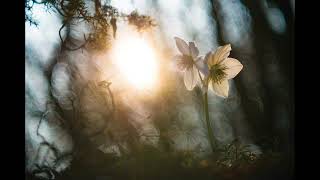 Can Yücel Sevdiğin Kadar Sevilirsin