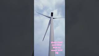 windmill in jaffna # jaffna mannar road# 😲😲# Travel Life One #