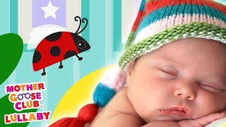 Soothing Songs for Babies | Weber Lullaby + More | Mother Goose Club Lullaby