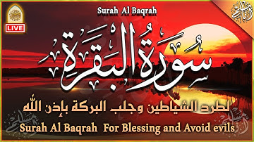 سورة البقرة كاملة لحفظ وتحصين المنزل وطرد الشياطين - تلاوة هادئة - Surah Al Baqarah Full