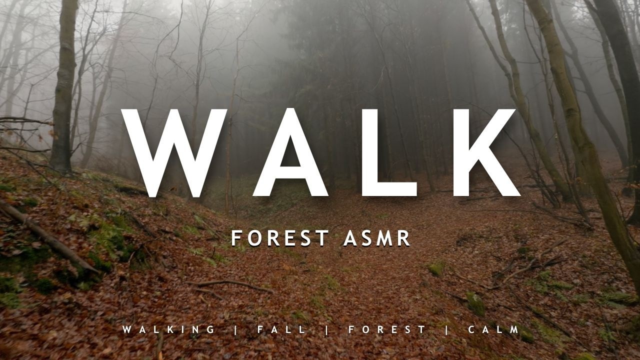Misty Forest Walk – Quiet Footsteps & Soft Nature Ambience (No Music)