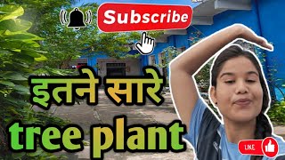 😱😱 इतने सारे tree plant🌴🌲# sanjana vlogs  #please subscribe my channel 
