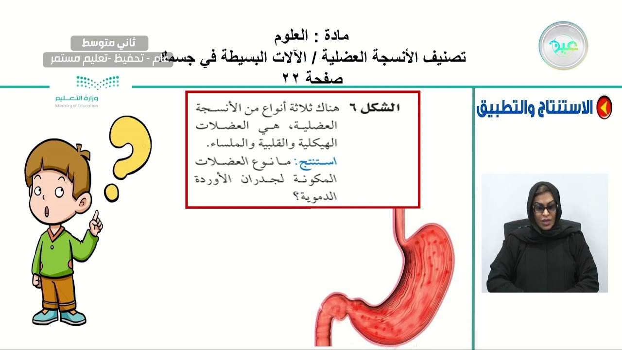 تصنيف الأنسجة العضلية / الآلات البسيطة في جسمك - العلوم - ثاني متوسط