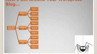 Wordpress Silo Plugin & Silo Structure Explained