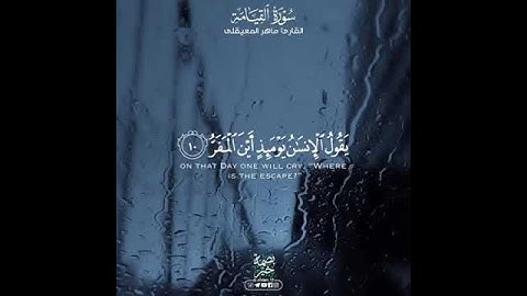 أجمل وأفضل حالات واتس اب دينيه 🖤 قرآن كريم بصوت القارئ : ماهر المعيقلي || 🌘😴 ( مقاطع قرآن )😴