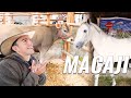 Cómo es LA FERIA más grande del Ecuador | Riobamba