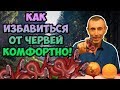 КАК ИЗБАВИТЬСЯ ОТ ЧЕРВЕЙ КОМФОРТНЫМ МЕТОДОМ! Фильм- 1. Виталий Островский  Паразиты, глисты