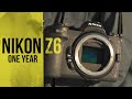 ONE YEAR WITH THE NIKON Z6 || Review, Nikon Z6II, Nikon 200-500, Wildlife Photography