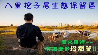 餅乾出遊日記EP10-原來這裡有這麼多招潮蟹(八里挖子尾自然 ... 
