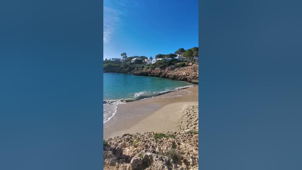 Palma de mallorca holidays shorts short 2024 YouTube