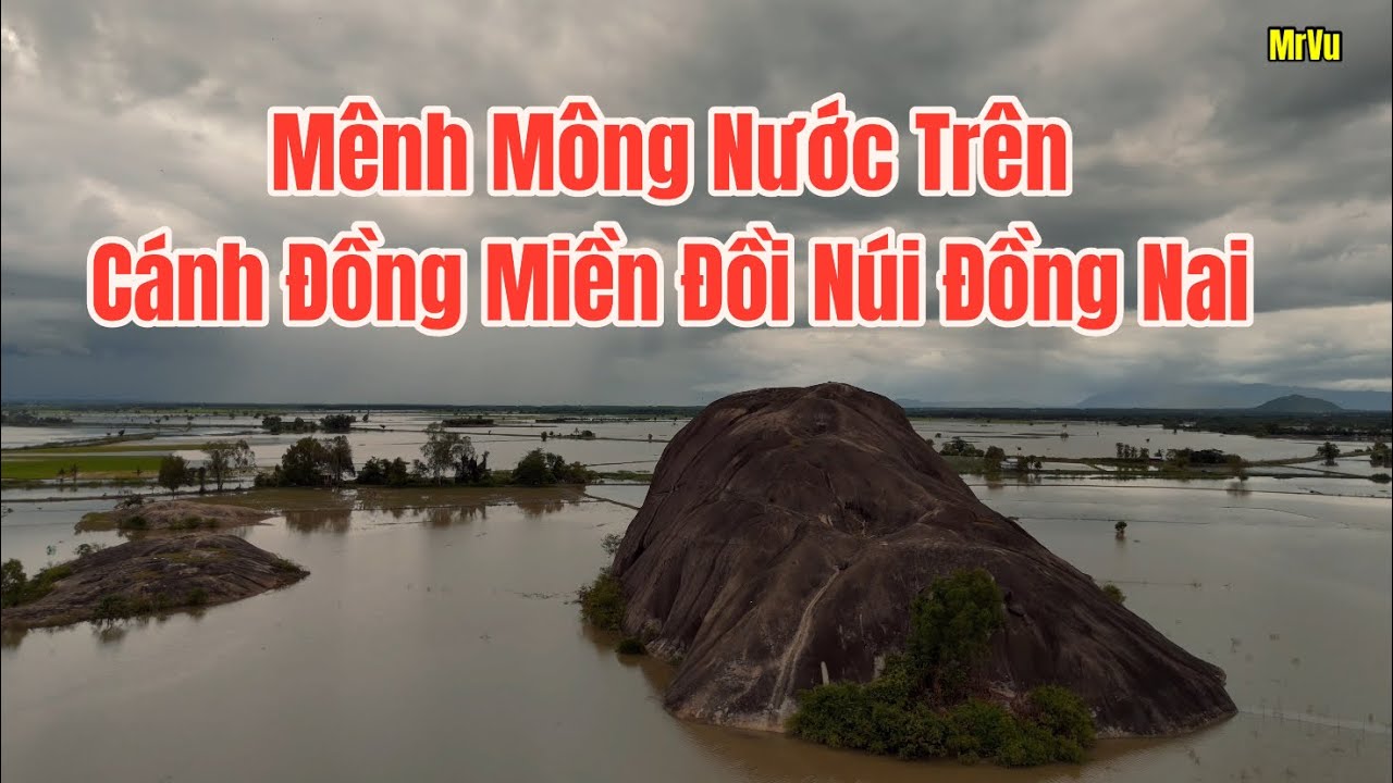 Đá chử thập trên cánh đồng Phú Điền ở miền đồi núi Đồng Nai ngập mênh mông nước.