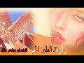 اغنية الطير الحر وزلزلة مطانيخ الميكو 