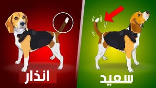 اكتشف ما يحاول كلبك اخبارك به