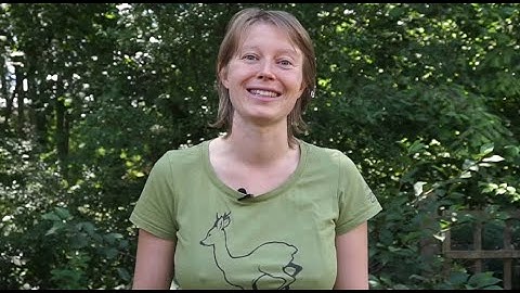 What is Red Squirrel Resources?