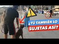 ¿CÓMO SUJETAR LA CORREA DE TU PERRO? ✅ | APRENDE A ENTENDER A TU PERRO 🤔 (2ª PARTE) - 4EverDogs