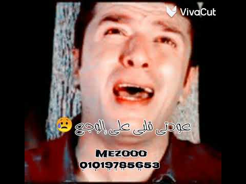 مصطفى كامل تعالي نتحاسب