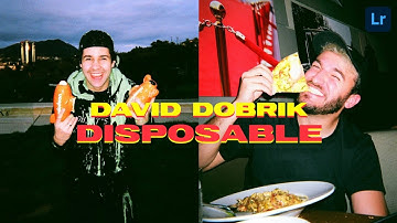 DAVID DOBRIK Disposable Camera Effect - Lightroom Mobile Preset | Disposable Lightroom Presets