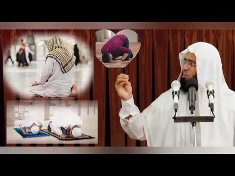 دعاء الكرب الشيخ سعدون حمادي 