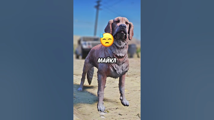 😢 ВСЕГДА ПОМОГАЙ ЭТОЙ СОБАКЕ в ГТА 5! #shorts #гта5 #gta5