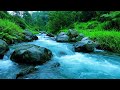 River Waterfall Flowing in a Mountain Forest 24/7. Waterfall Sounds. White Noise for Sleeping #1