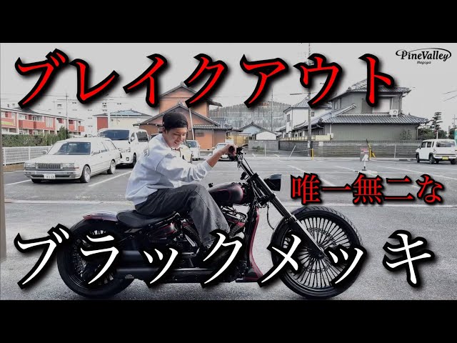 Breakout] A luxurious, fully customized black-plated Harley