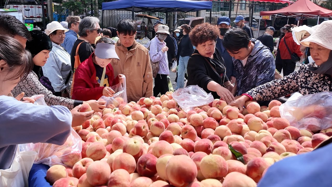青海西宁最热闹的早市与美食街，香甜的玫瑰千层饼，名字奇怪的狗浇尿，沾满瓜子的新疆烤馕，西宁特色煎羊肠，中国最好吃的酸奶，青海特色干拌鱼，香豆子酥饼，西北特色牛奶鸡蛋醪糟，夏季限定美食青稞麦索。