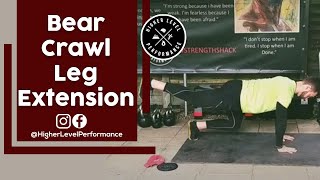 Bear Crawl Leg Extension