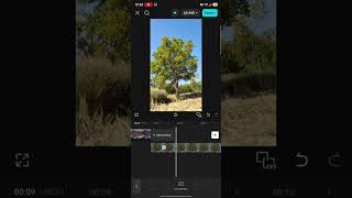 Sky Replacement video editing capcut #video